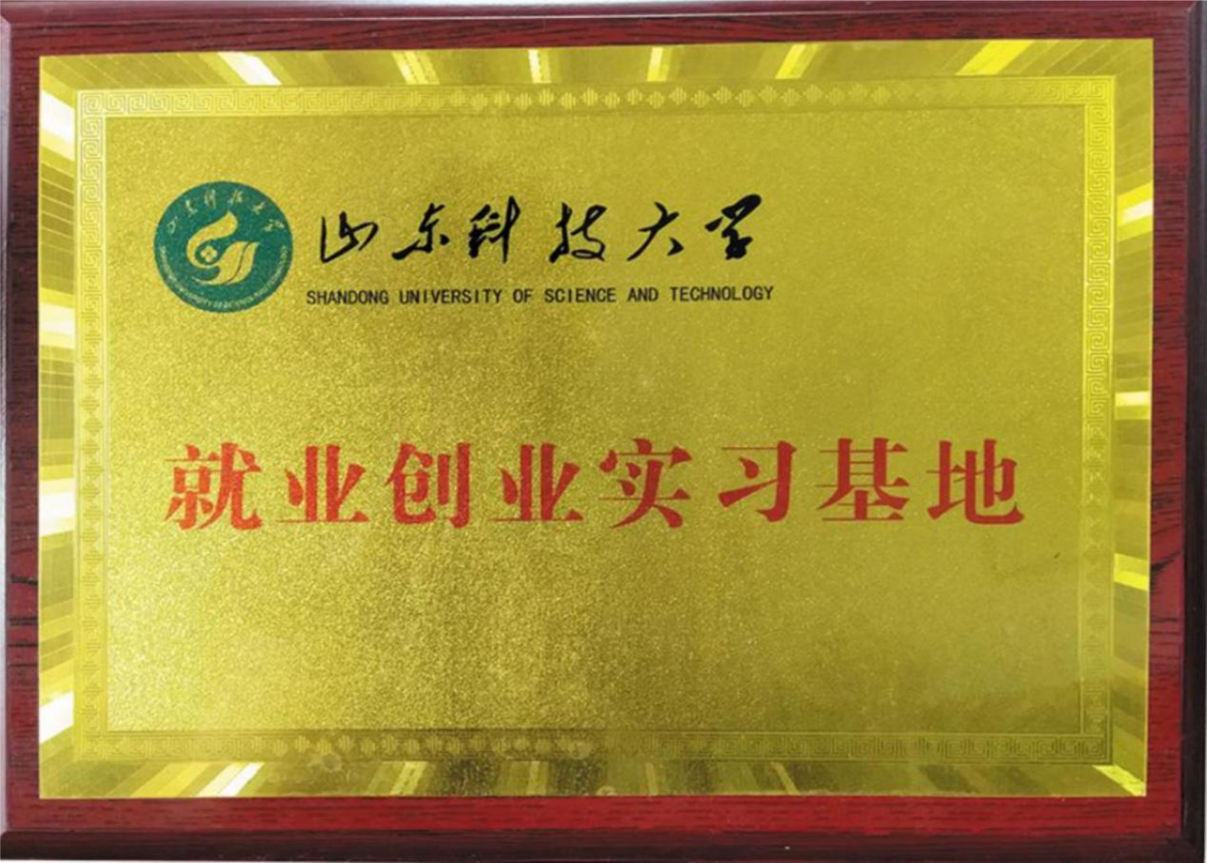 山東科技大學(xué)就業(yè)創(chuàng)業(yè)實(shí)習(xí)基地 山東科技大學(xué)就業(yè)創(chuàng)業(yè)實(shí)習(xí)基地